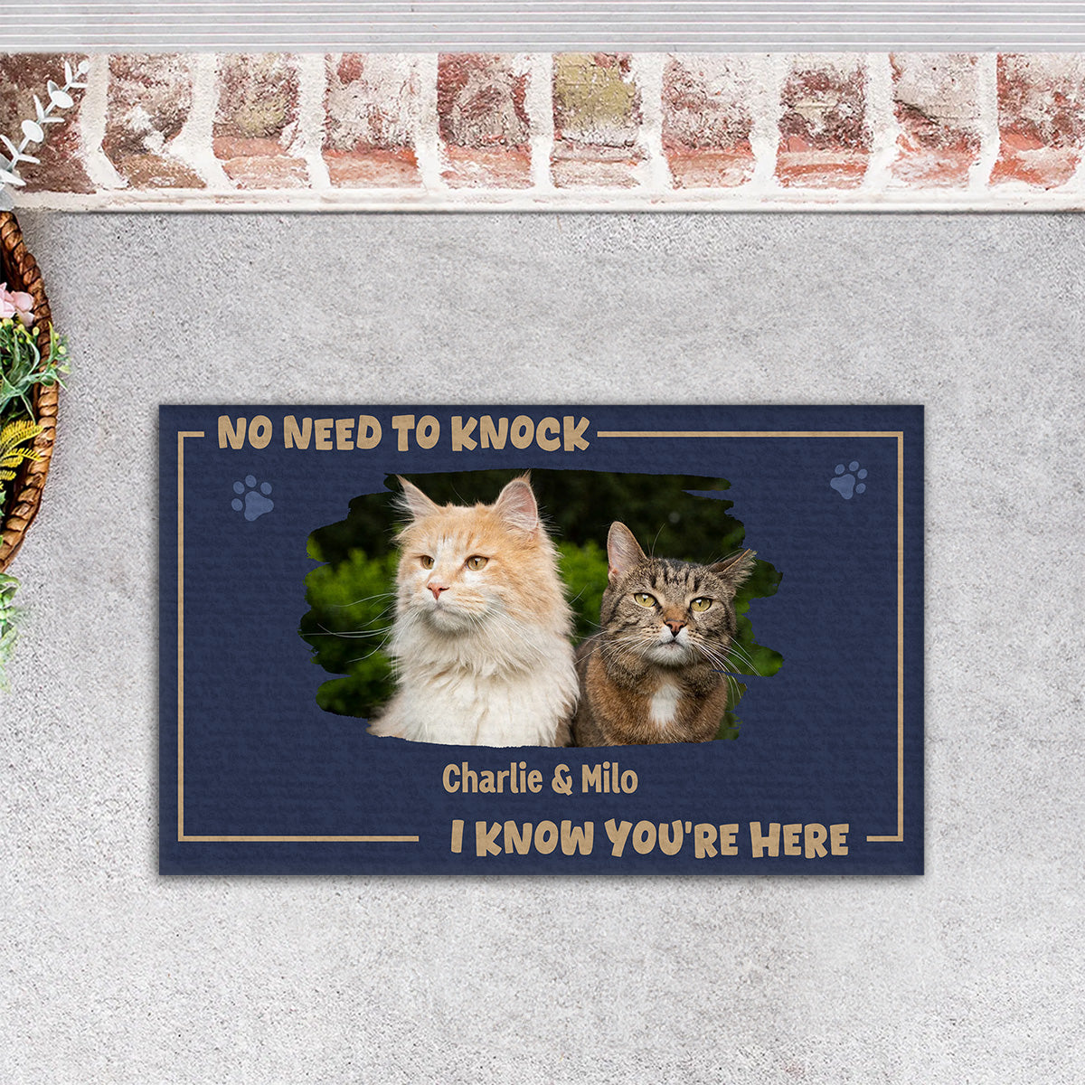 Personalized Custom Pet Lover's Doormat: No Need To Knock, Welcome with Your Furry Friend