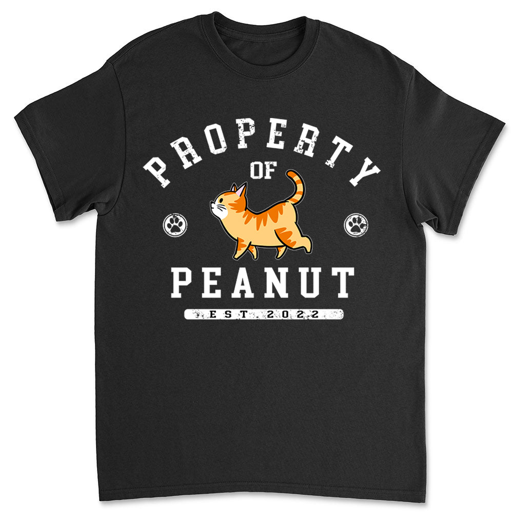 Personalized Custom Unisex Cat - Dog Lover's 5.3 oz T - shirt