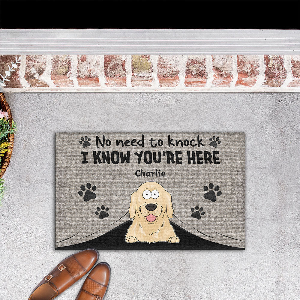Personalized Custom Doormat: No Need To Knock, We Know You're Here - Ideal for Pet Lovers