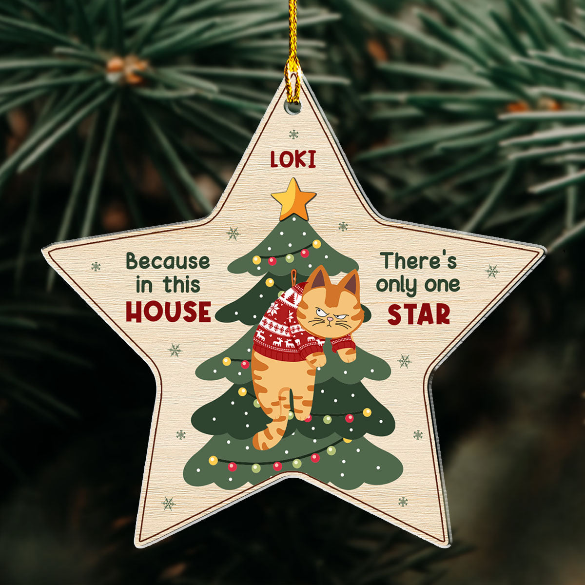 Unique Personalized Custom Acrylic Christmas Ornament - There's Only One Star In This House