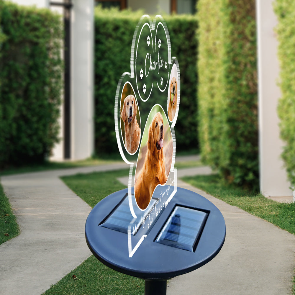 If Love Could Have Saved You - Personalized Custom Solar-Powered Acrylic Photo Light (5.7' x 6.3')