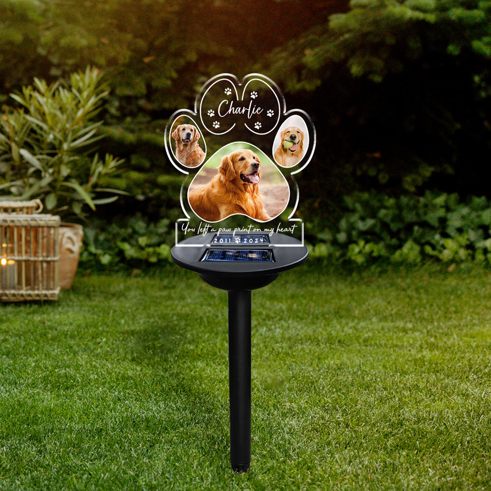 If Love Could Have Saved You - Personalized Custom Solar-Powered Acrylic Photo Light (5.7' x 6.3')
