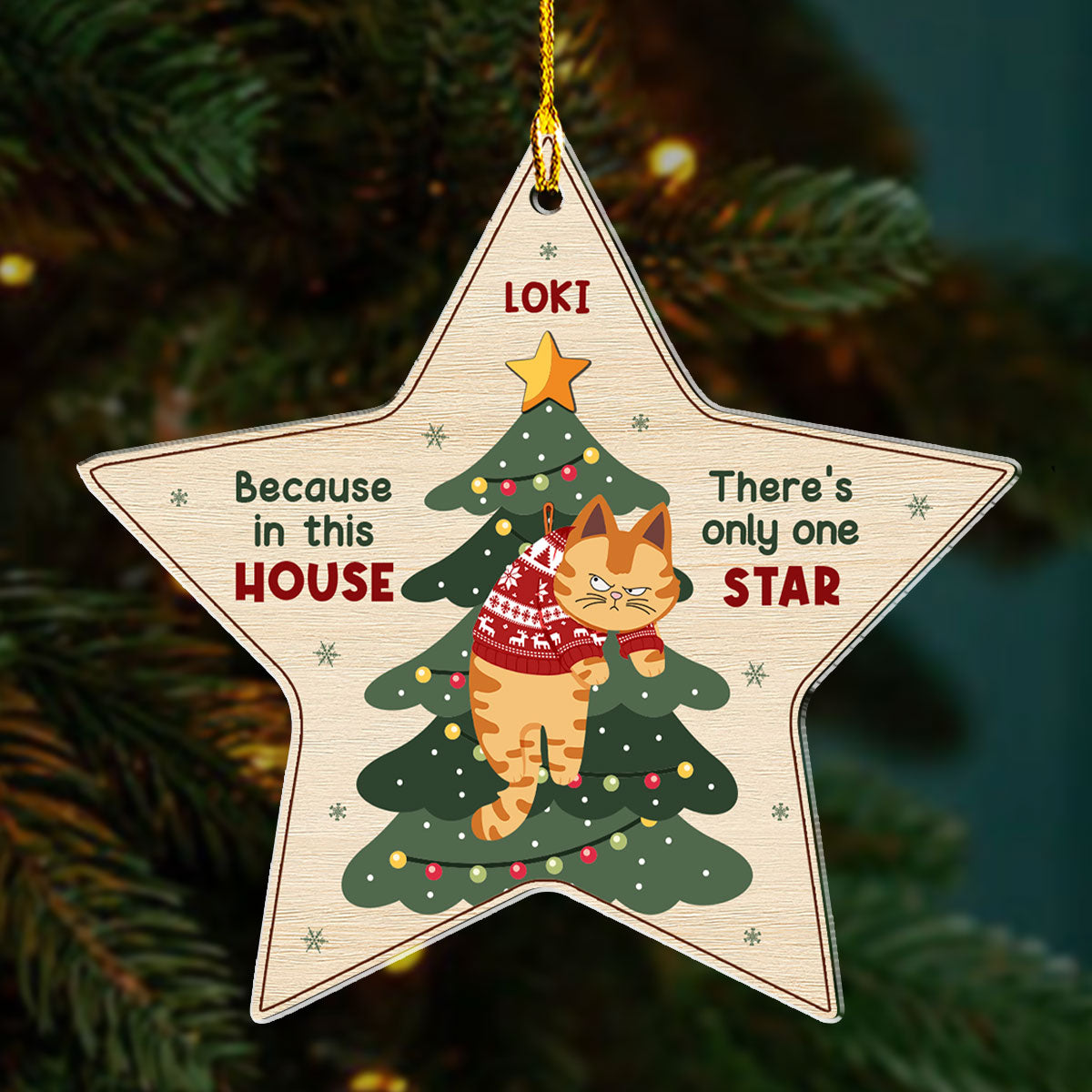 Unique Personalized Custom Acrylic Christmas Ornament - There's Only One Star In This House