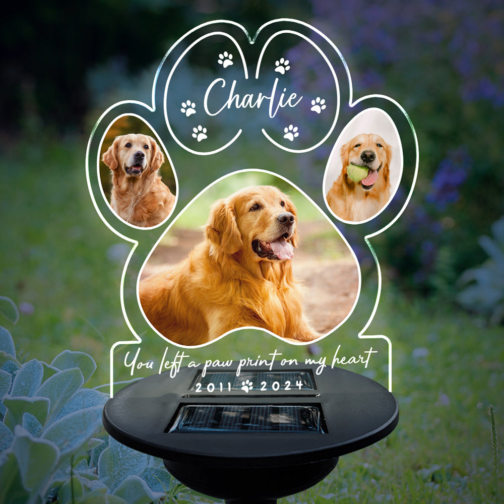 If Love Could Have Saved You - Personalized Custom Solar-Powered Acrylic Photo Light (5.7' x 6.3')