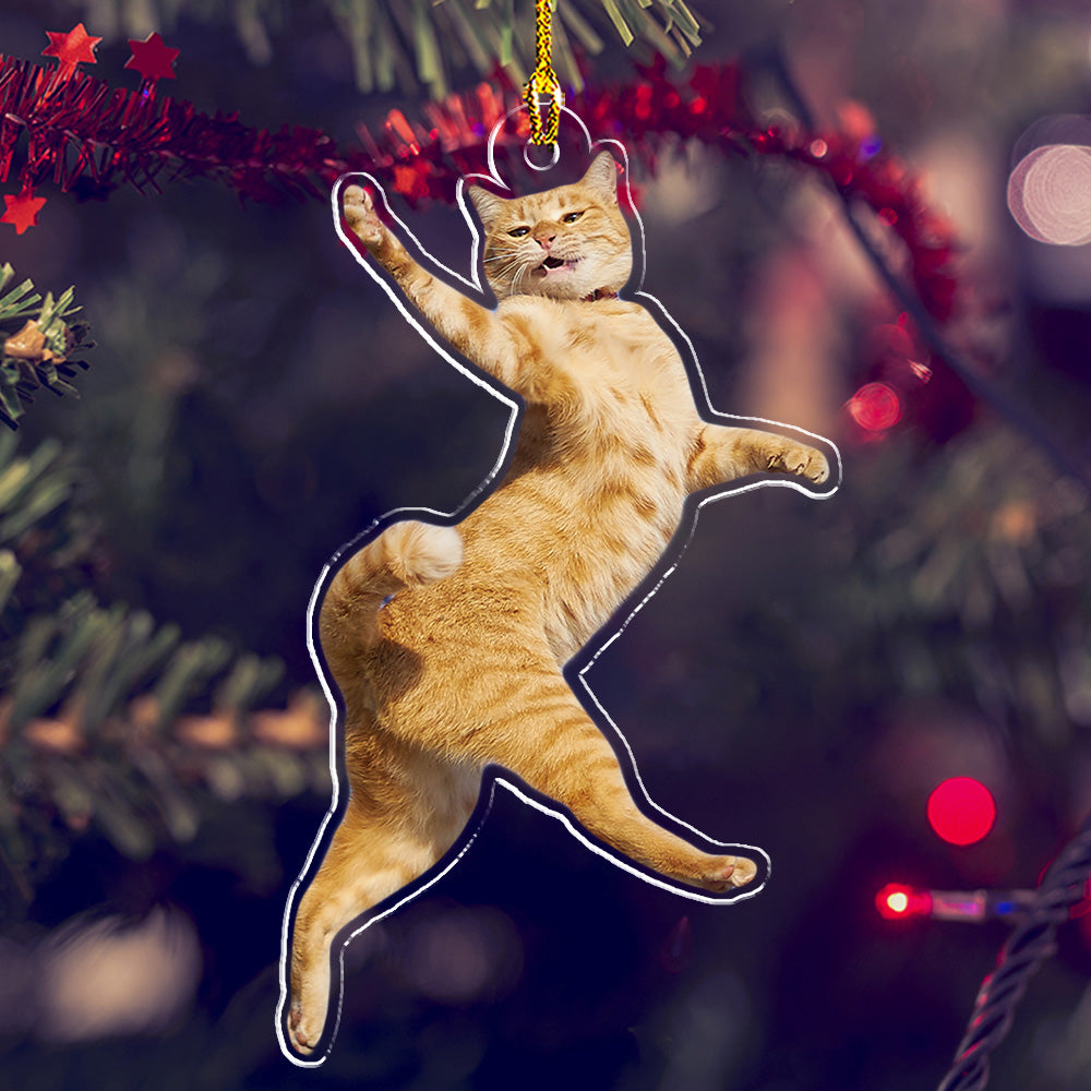 Custom Photo Funny Pet - Personalized Custom Acrylic Christmas Ornament (4' Diameter, 0.2' Thickness)
