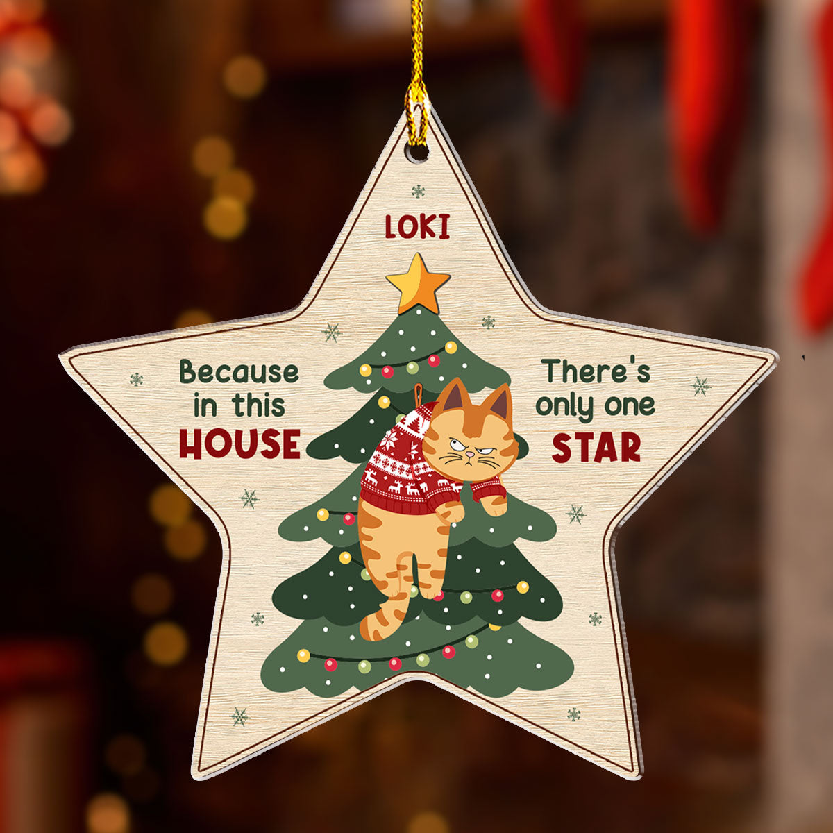 Unique Personalized Custom Acrylic Christmas Ornament - There's Only One Star In This House