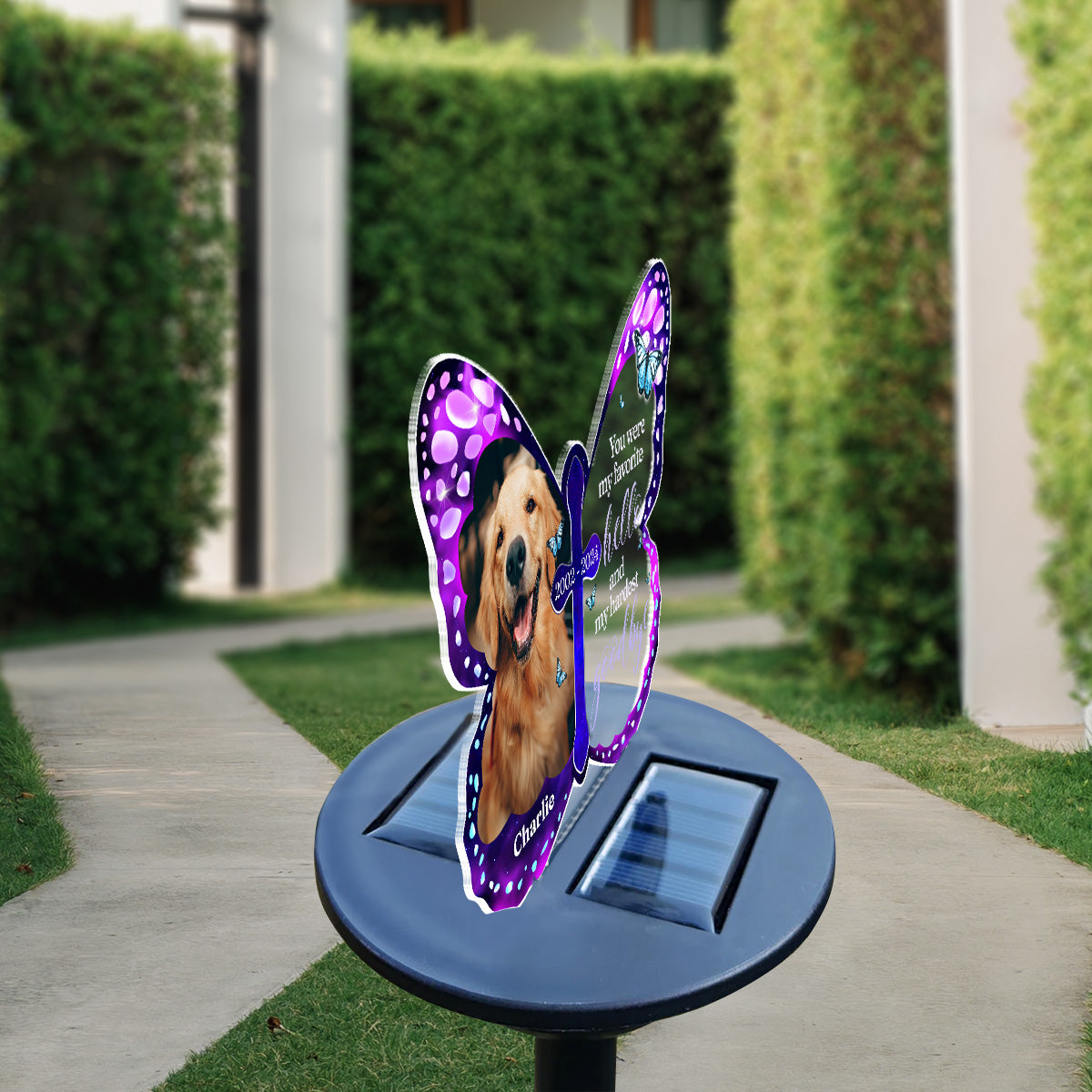 My Hardest Goodbye - Personalized Custom Acrylic Solar Light with Multiple Color Illumination