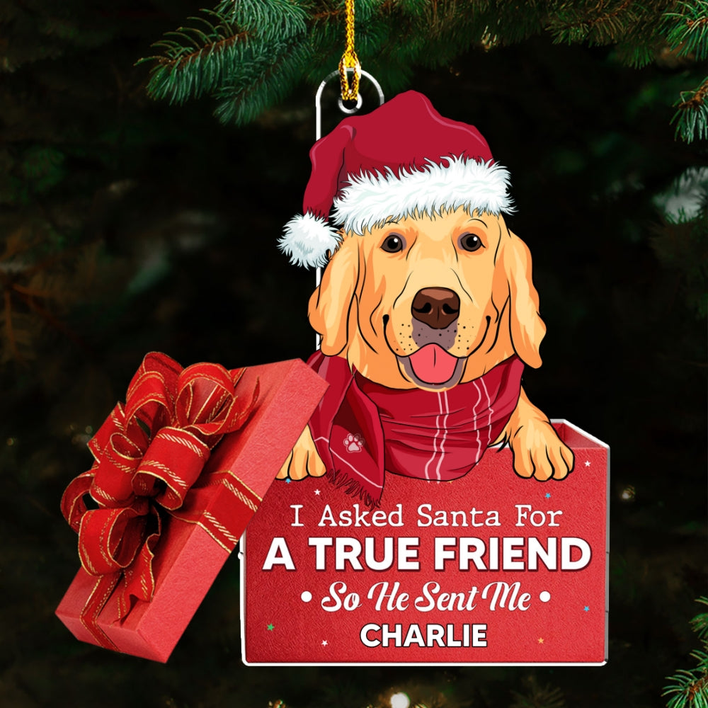 A True Friend - Exquisite Personalized Custom Acrylic Christmas Ornament with 4' Diameter