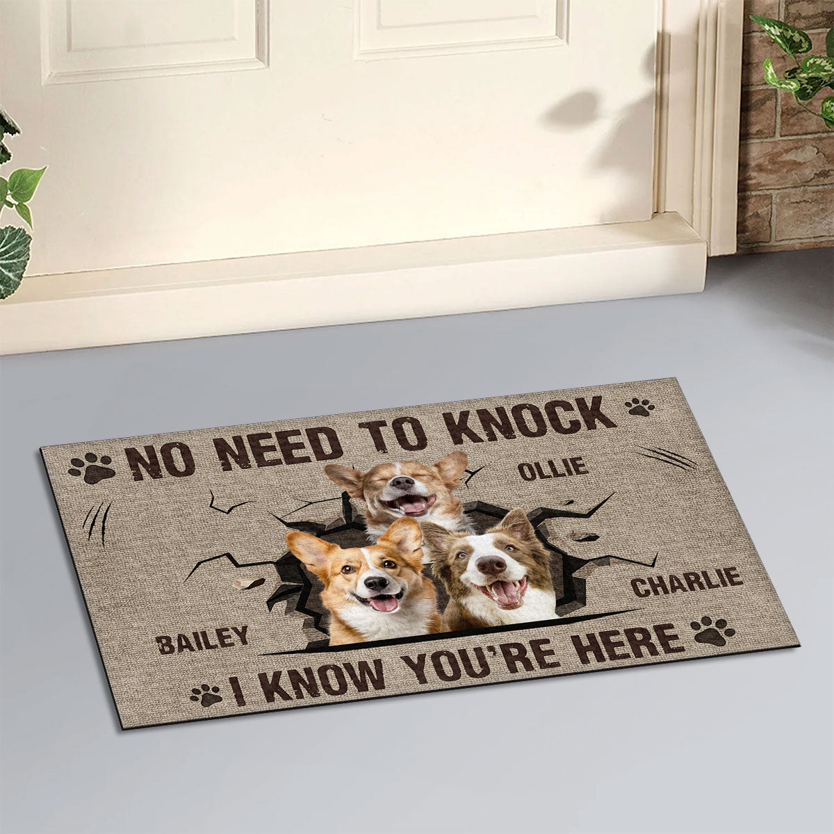 I Know You Are Here - Personalized Custom Pet Doormat with Vibrant Sublimation Printing