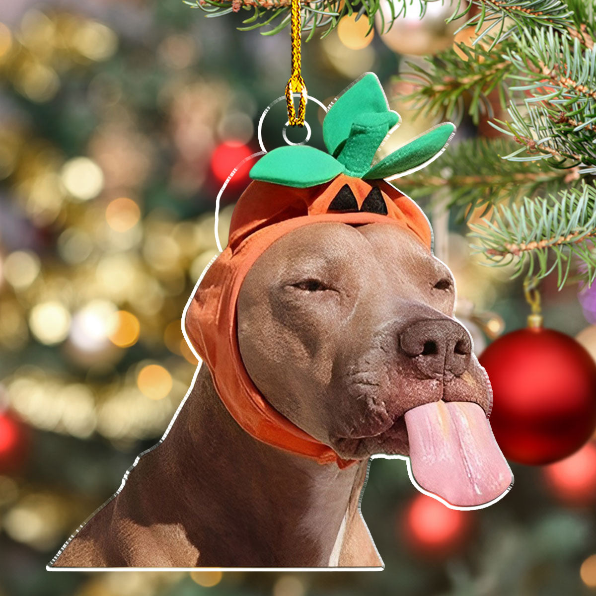Funny Moment - Personalized 4' Diameter 0.2' Thick Custom Acrylic Christmas Ornament