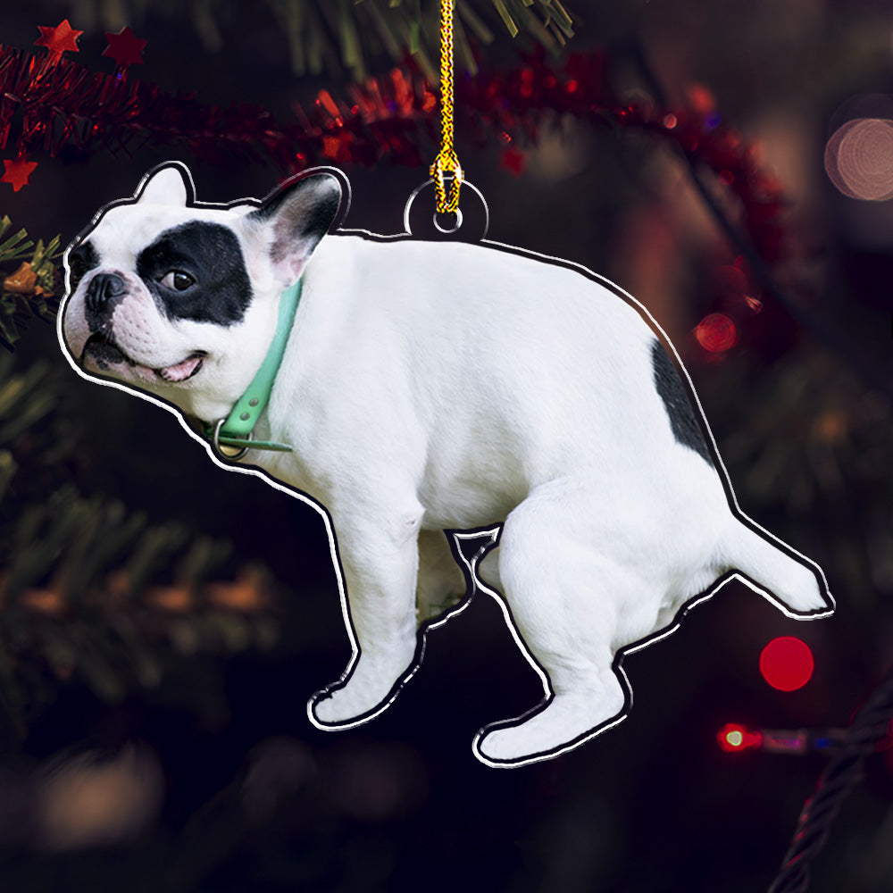 Custom Photo Funny Pet - Personalized Custom Acrylic Christmas Ornament (4' Diameter, 0.2' Thickness)