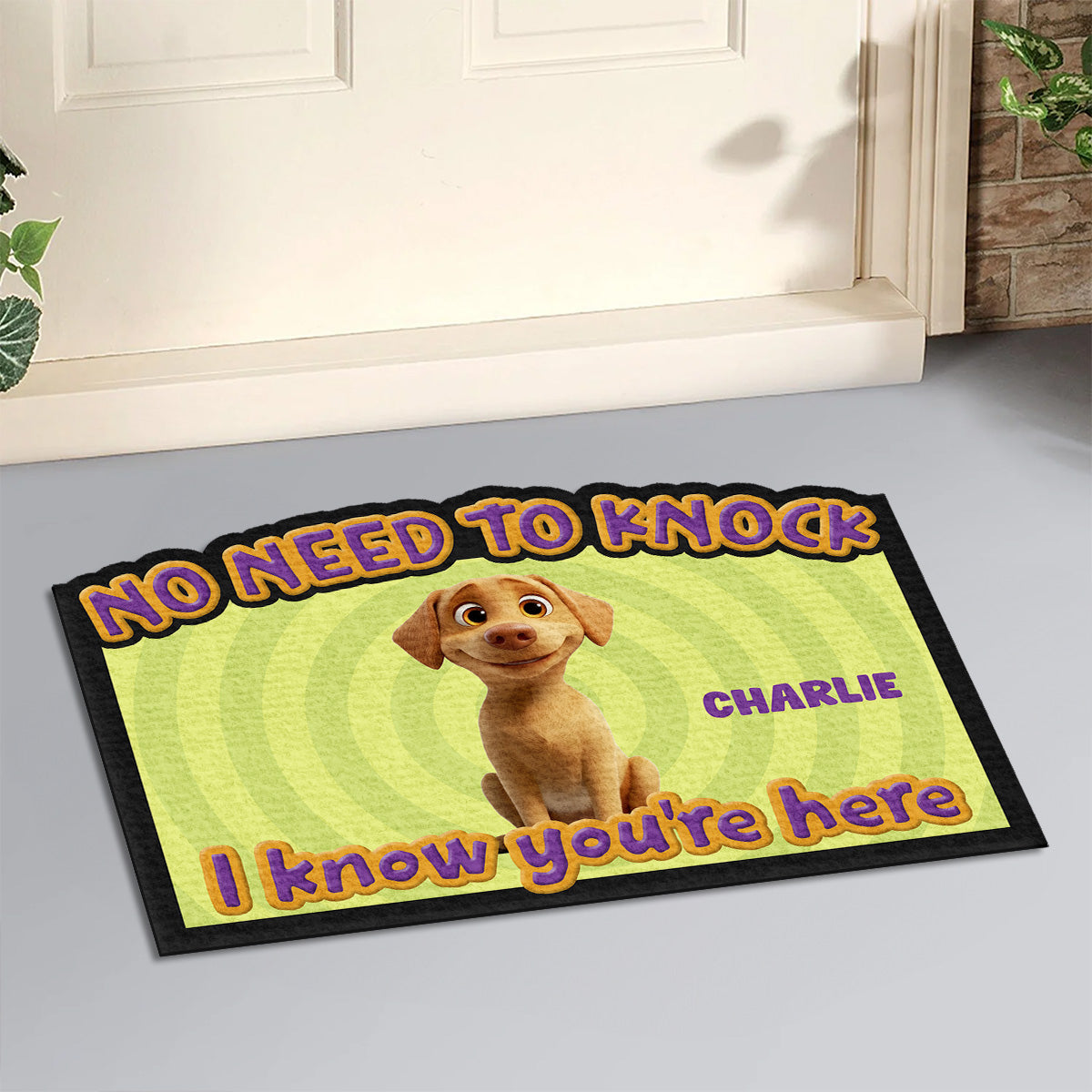 Personalized Custom 'This Human Belongs To Us' Cartoon Doormat for Pet Lovers