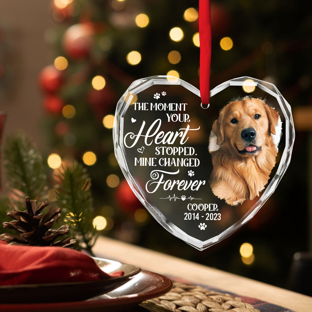Personalized Custom Glass Ornament - You Would Have Lived Forever, 8mm Thick, 3.07-inch Tall