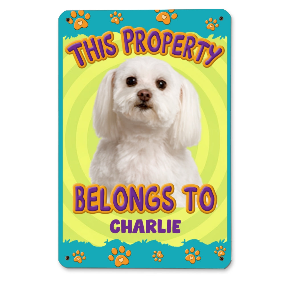 This Human Belongs To Us Personalized Custom Metal Cartoon Photo Sign - Rusty Steel Style for Home & Office