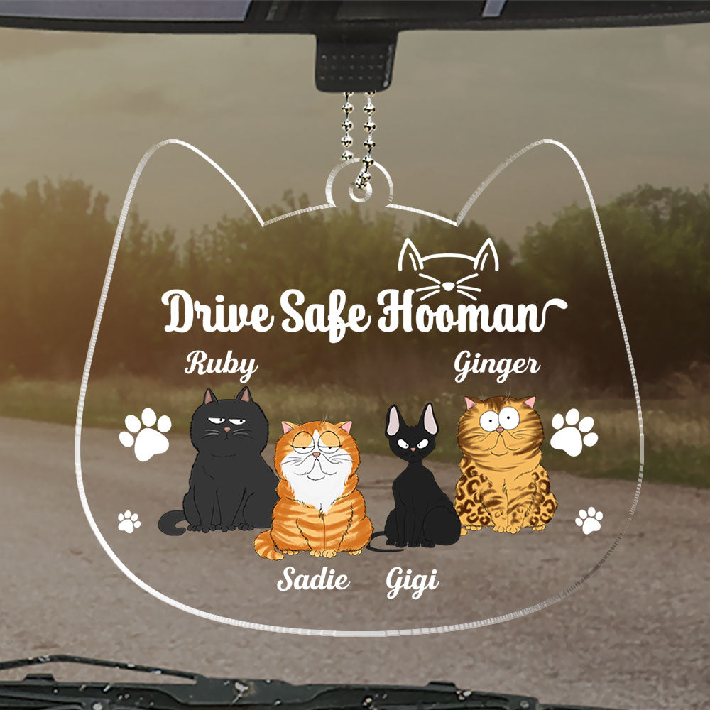 Drive Safe Hooman - Exquisite Personalized Custom Acrylic Ornament with 4' Diameter and 0.2' Thickness