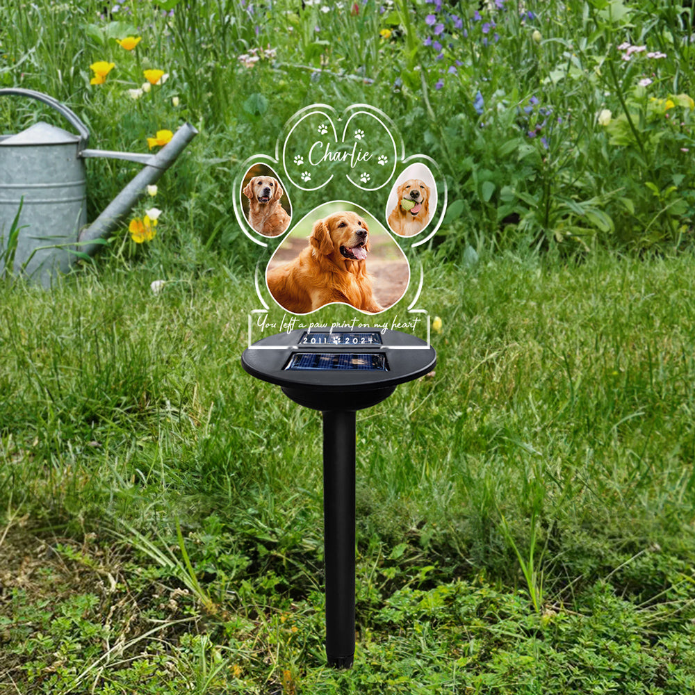 If Love Could Have Saved You - Personalized Custom Solar-Powered Acrylic Photo Light (5.7' x 6.3')