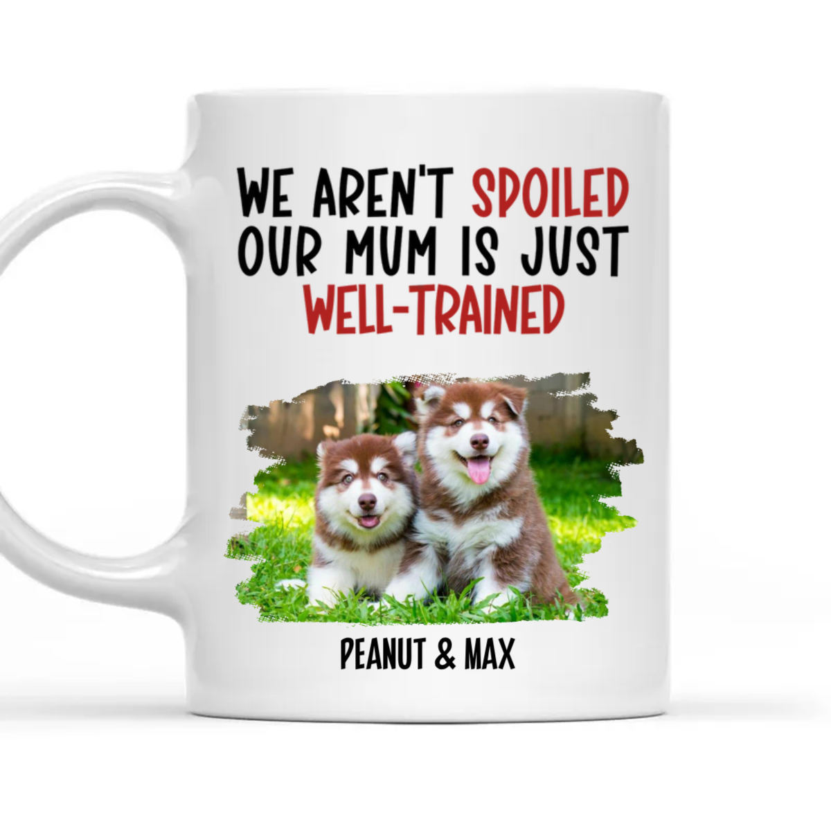 Well Trained Mom Personalized Custom Photo Coffee Mug - Ideal Gift for Pet Lovers