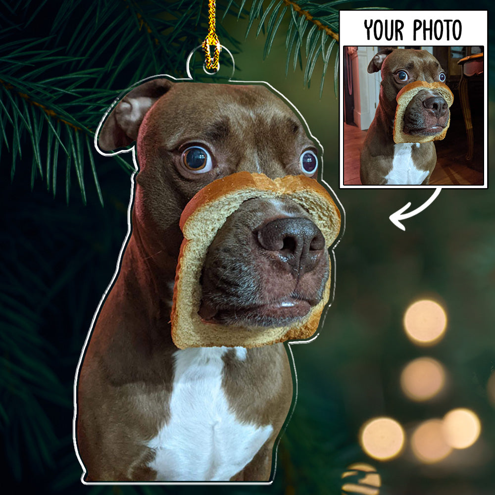 Custom Photo Funny Pet - Personalized Custom Acrylic Christmas Ornament (4' Diameter, 0.2' Thickness)