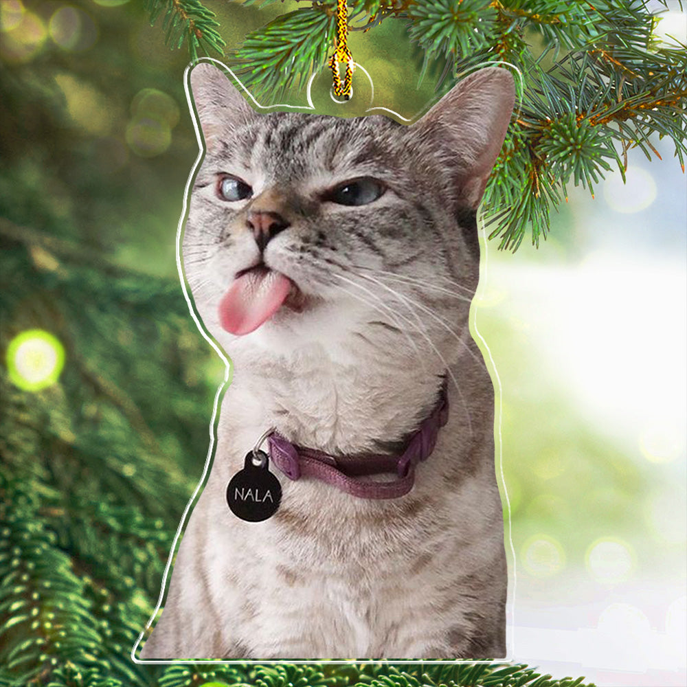 Custom Photo Funny Pet - Personalized Custom Acrylic Christmas Ornament (4' Diameter, 0.2' Thickness)