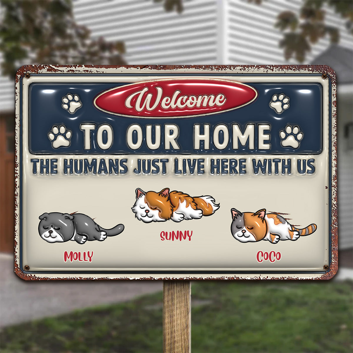 Just Live Here Ver Cat - Exquisite Personalized Custom 3D Inflated Effect Metal Sign for Home and Office