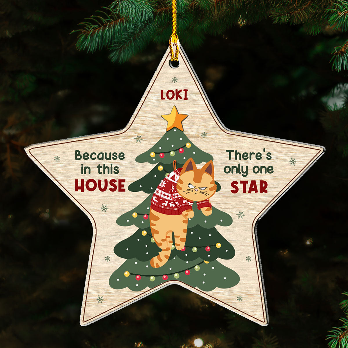 Unique Personalized Custom Acrylic Christmas Ornament - There's Only One Star In This House