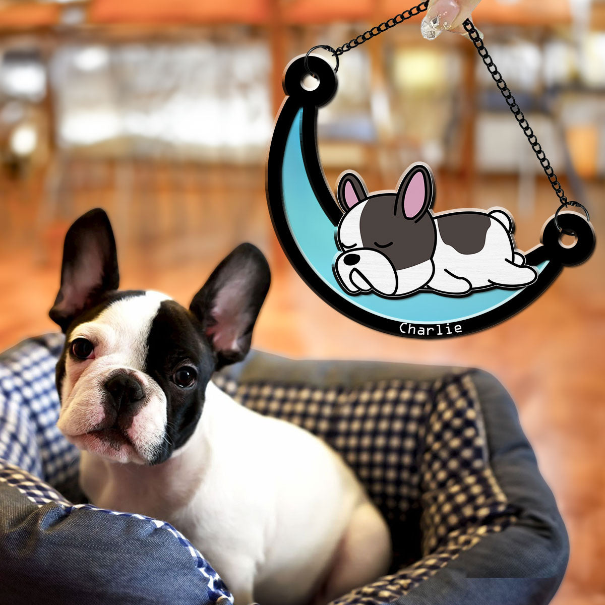 Personalized Custom Dog Sleep On The Moon Suncatcher - 6 & 8 Inches
