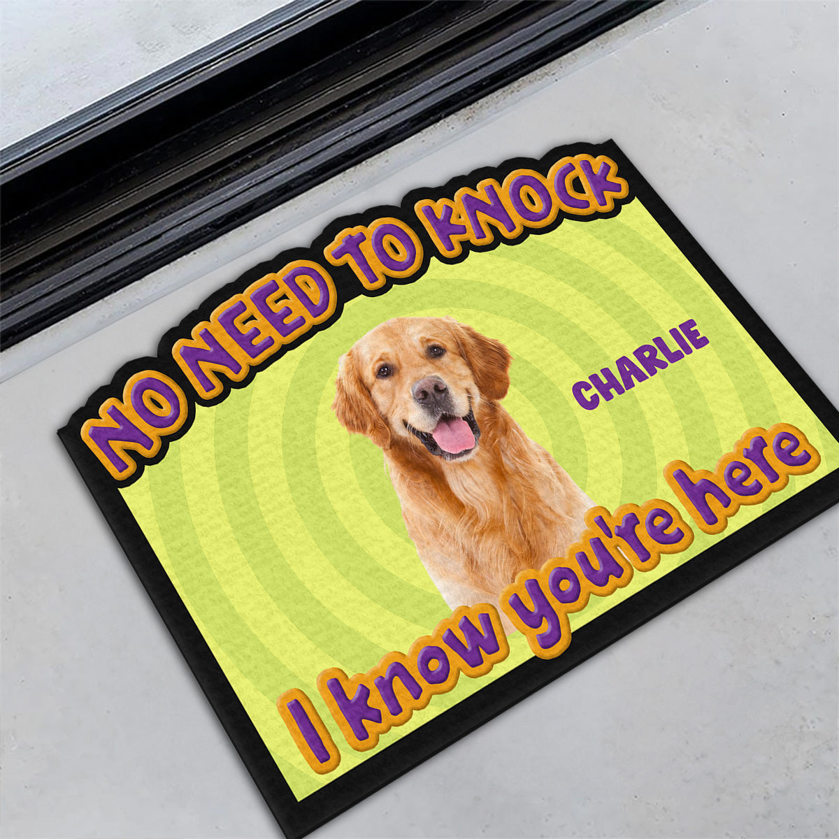 This Human Belongs To Us Personalized Cartoon Photo Custom Doormat for Pet Lovers