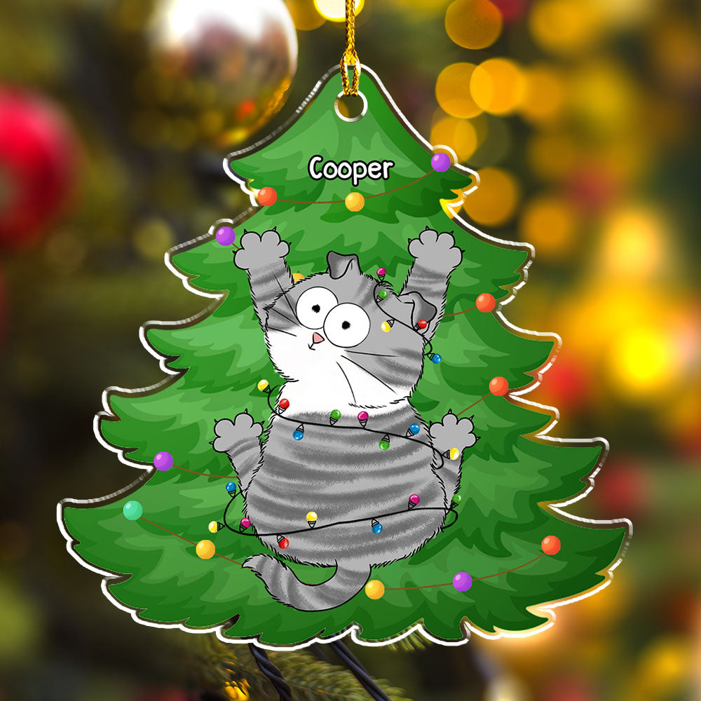 Meowy Scratching - Customizable Personalized Acrylic Christmas Ornament with 4' Diameter and 0.2' Thickness