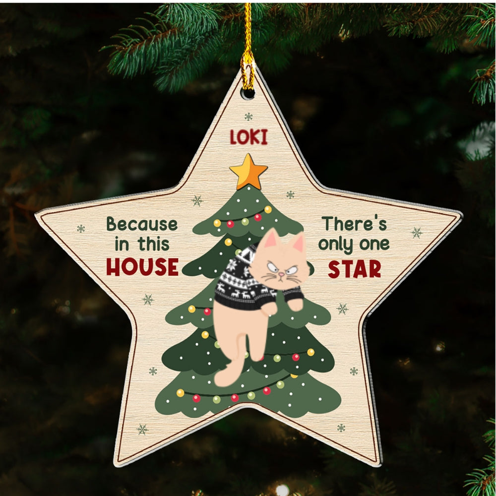 Unique Personalized Custom Acrylic Christmas Ornament - There's Only One Star In This House