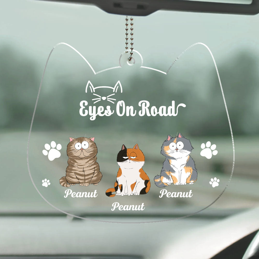 Drive Safe Hooman - Exquisite Personalized Custom Acrylic Ornament with 4' Diameter and 0.2' Thickness