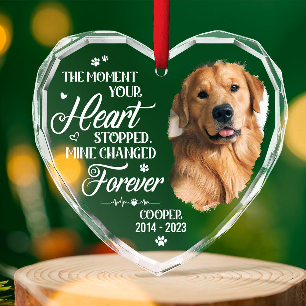 Personalized Custom Glass Ornament - You Would Have Lived Forever, 8mm Thick, 3.07-inch Tall