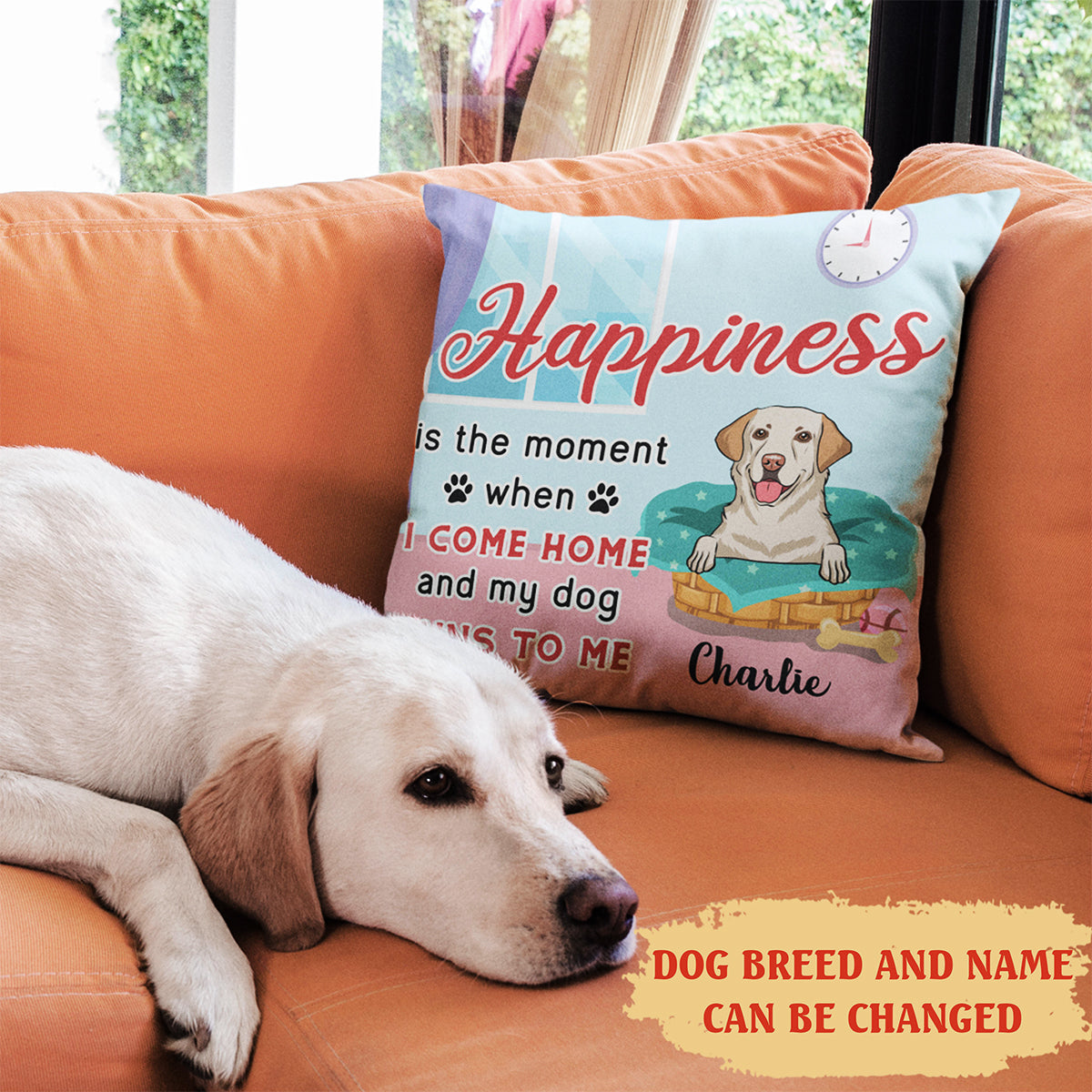 Personalized Custom Happiness Throw Pillow in 12' x 12' and 18' x 18' Sizes