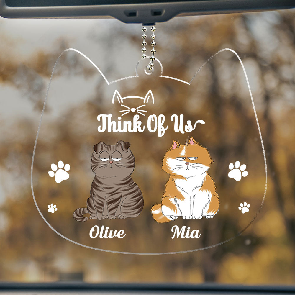 Drive Safe Hooman - Exquisite Personalized Custom Acrylic Ornament with 4' Diameter and 0.2' Thickness